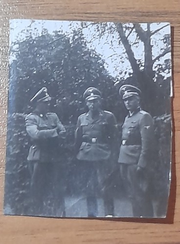 Original foto wss - original,