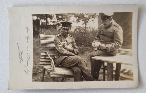 Foto zwei deutsche - foto,